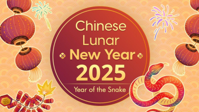 9th day of chinese new year 2025