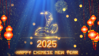 Chinese New Year 2025