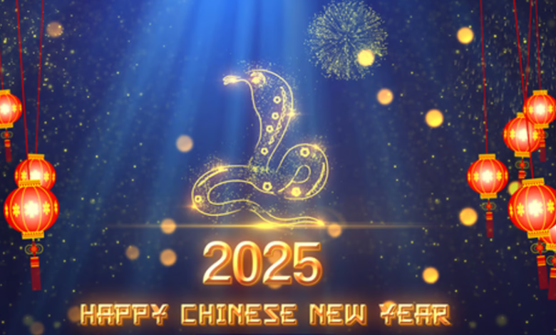 Chinese New Year 2025