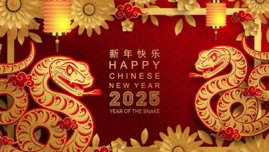 Chinese New Year Animal 2024: Year of the Dragon