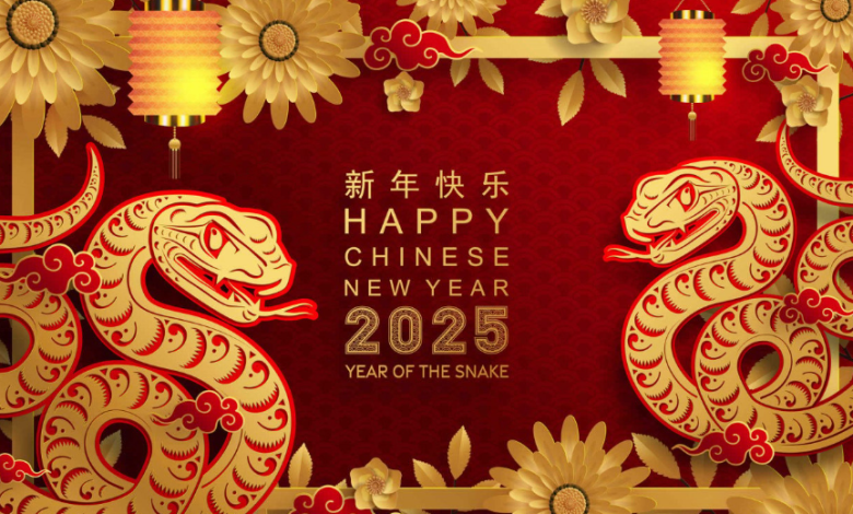 Chinese New Year Animal 2024: Year of the Dragon